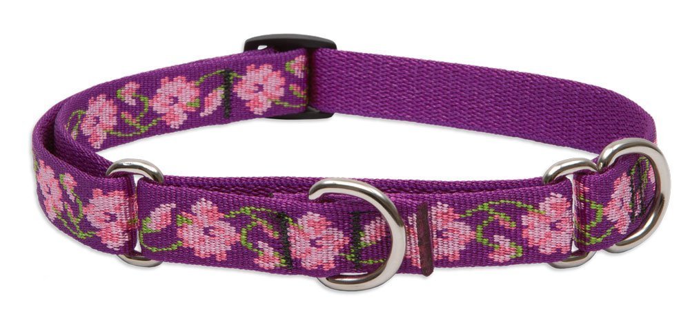 Collar LupinePet Originales Rosa Jardín para perros medianos y grandes, ajuste cómodo 14-20 pulgadas
