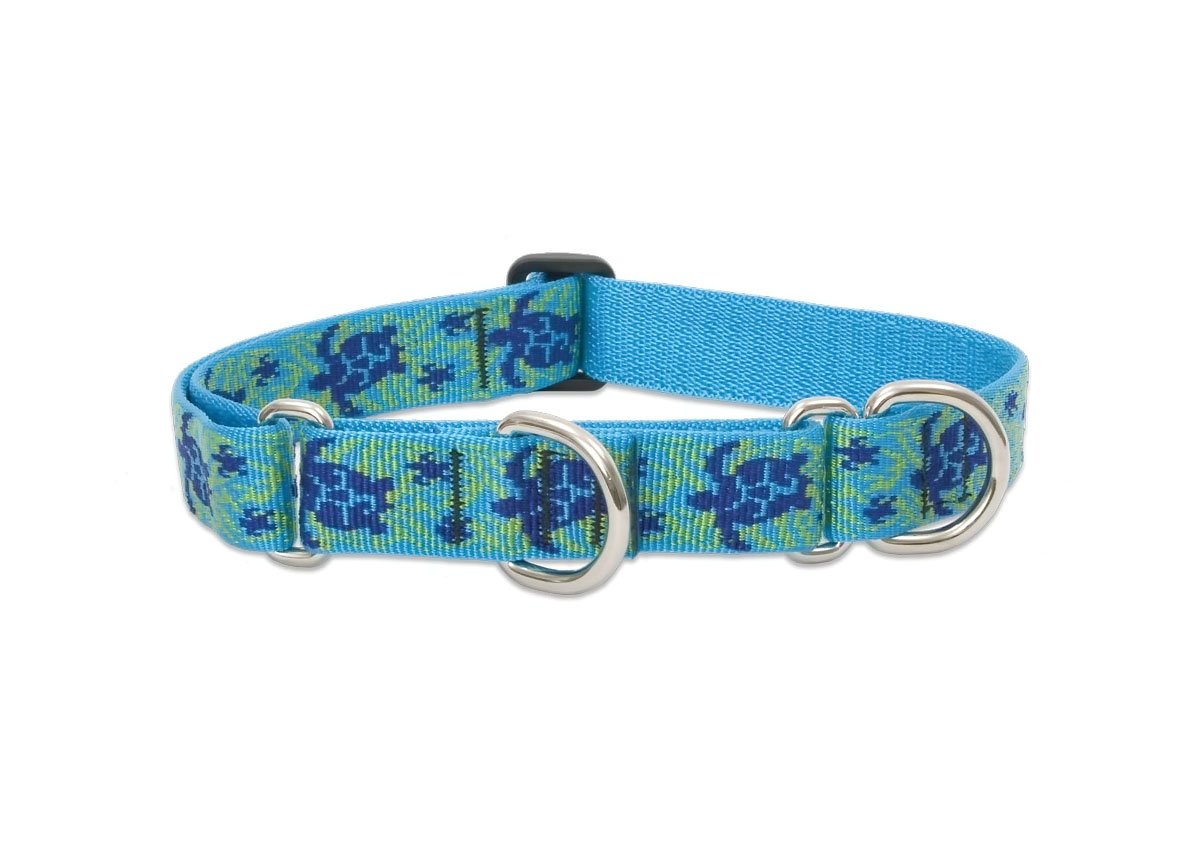 Collar LupinePet Originals 1 Tortuga Arrecife para perros grandes, ideal para paseos y entrenamiento.