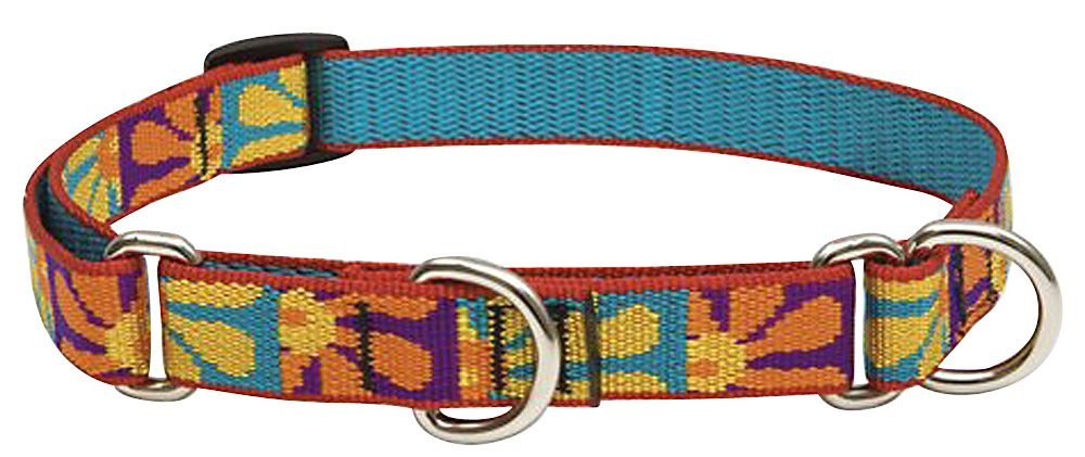 Collar martingale LupinePet Originals Crazy Daisy 3/4 de pulgada para entrenamiento suave y control