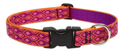 Collar LupinePet Originals Alpen Glow para perros medianos y grandes, duradero y cómodo.