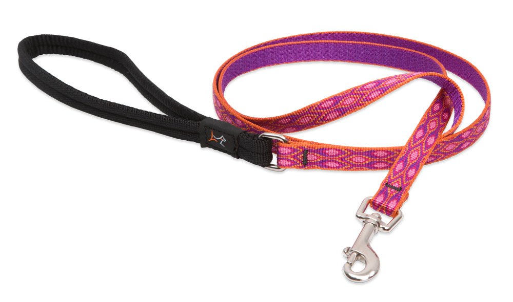 Correa LupinePet Originals Alpen Glow de 6 ft con puño acolchado para paseos cómodos