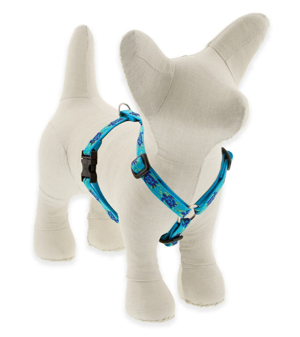 Arnés LupinePet Originals con tortuga-arrecife: ajuste cómodo para perros pequeños.