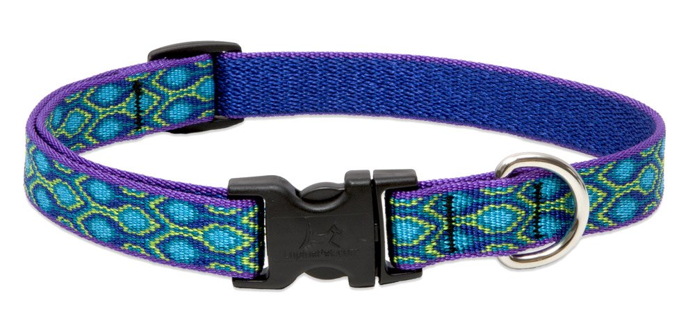 Collar LupinePet Originals Canción de Lluvia 3/4 en primer plano, seguridad y durabilidad para paseos.