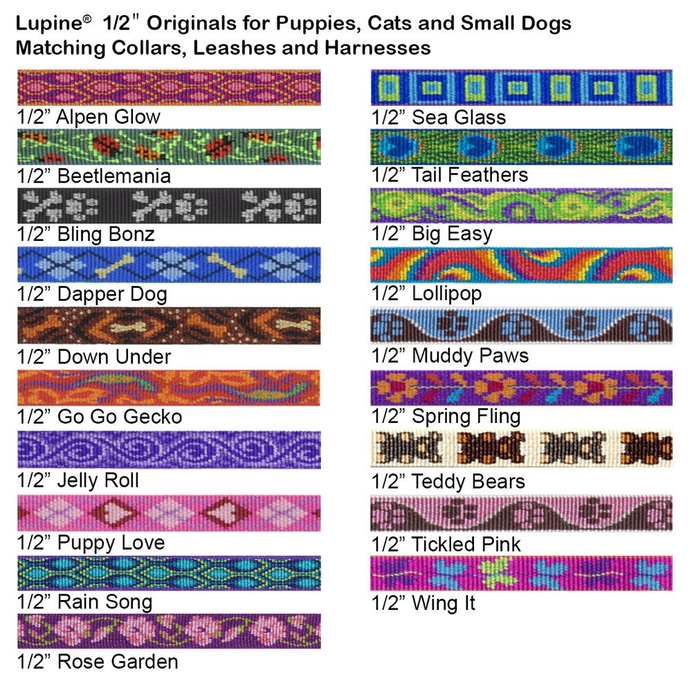 Hebilla de seguridad LupinePet Originals para collar de gato, liberación rápida para mayor seguridad.