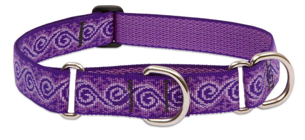 LupinePet Originals collar martingale de 1 pulgada para paseos con correa y control