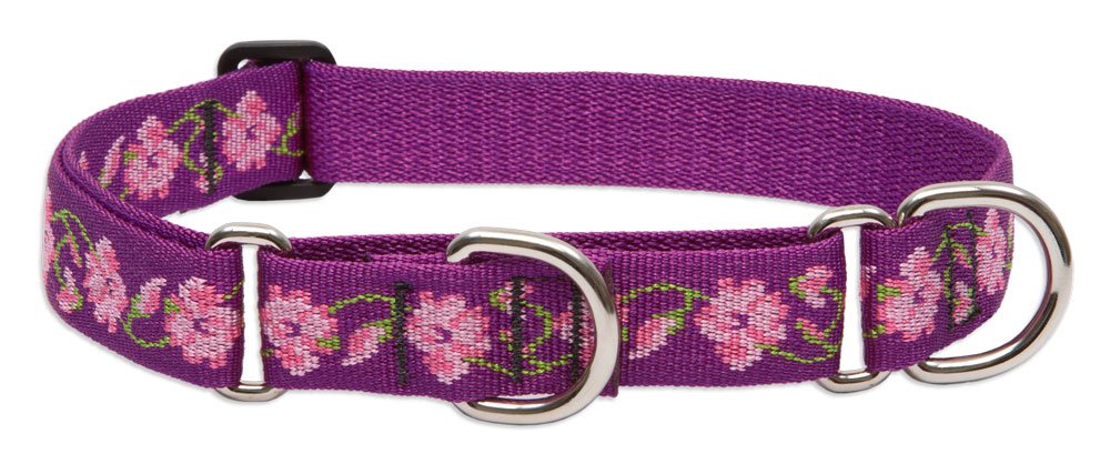 LupinePet Originals collar martingale Jardin Rosas para paseos con correa