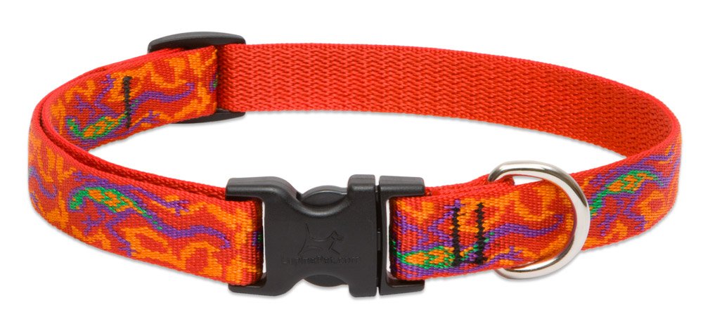 LupinePet Go Go Gecko collar 13-22 ajustable, ajuste cómodo para paseos diarios.