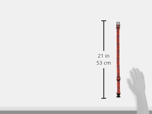 LupinePet Go Go Gecko collar 13-22 confort diario y seguridad en paseos.