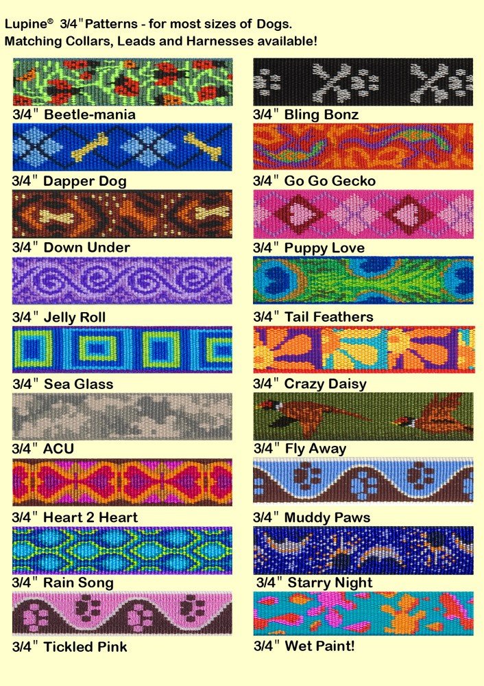 LupinePet Go Go Gecko collar 13-22, resistencia a mordidas para perros activos.