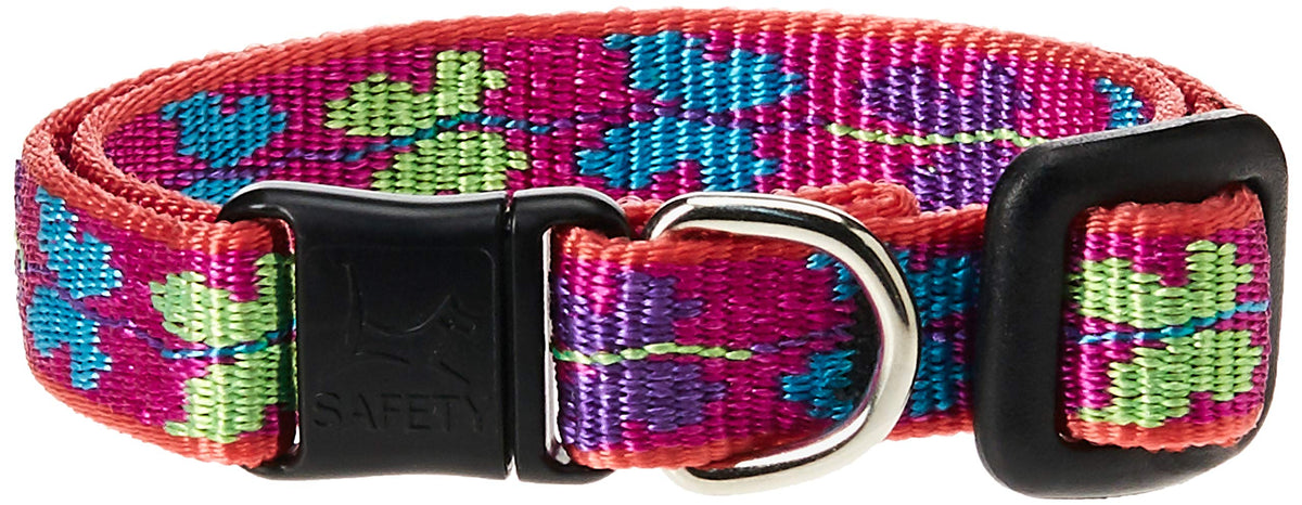 Collar LupinePet Originals Wing It con diseño en nylon jacquard, duradero para gatos