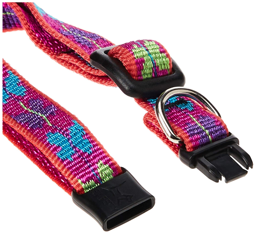 Collar LupinePet Wing It con hebilla de seguridad, ideal para uso diario
