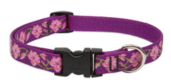 Collar LupinePet Originals Rose Garden ajustable 9-14 pulgadas para perros pequeños, cómodo y seguro.