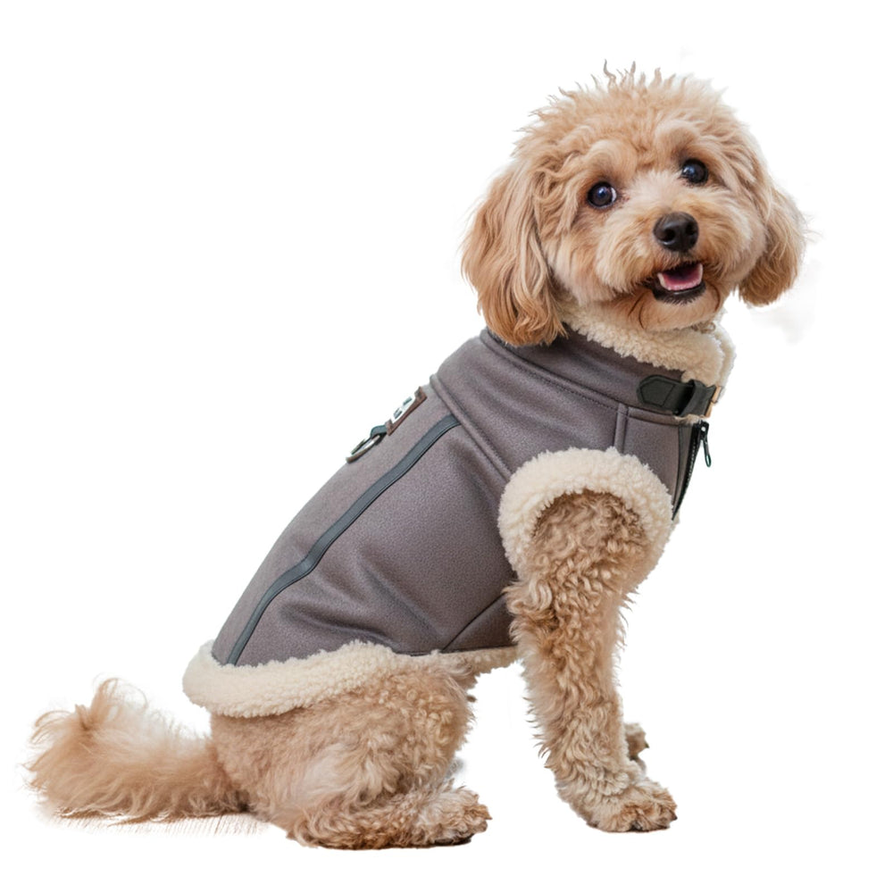 LUVMOJO cazadora aviador gris para perro, vista frontal, ideal para paseos invernales.