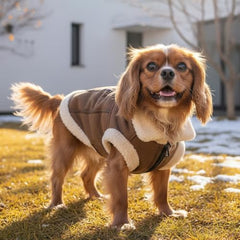LUVMOJO diferentes tallas para perro mediano y ajuste cómodo