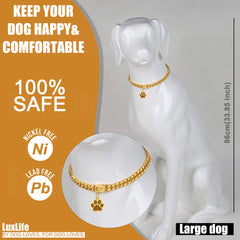 LuxLife collar dorado con cierre rápido, fácil de poner y quitar.