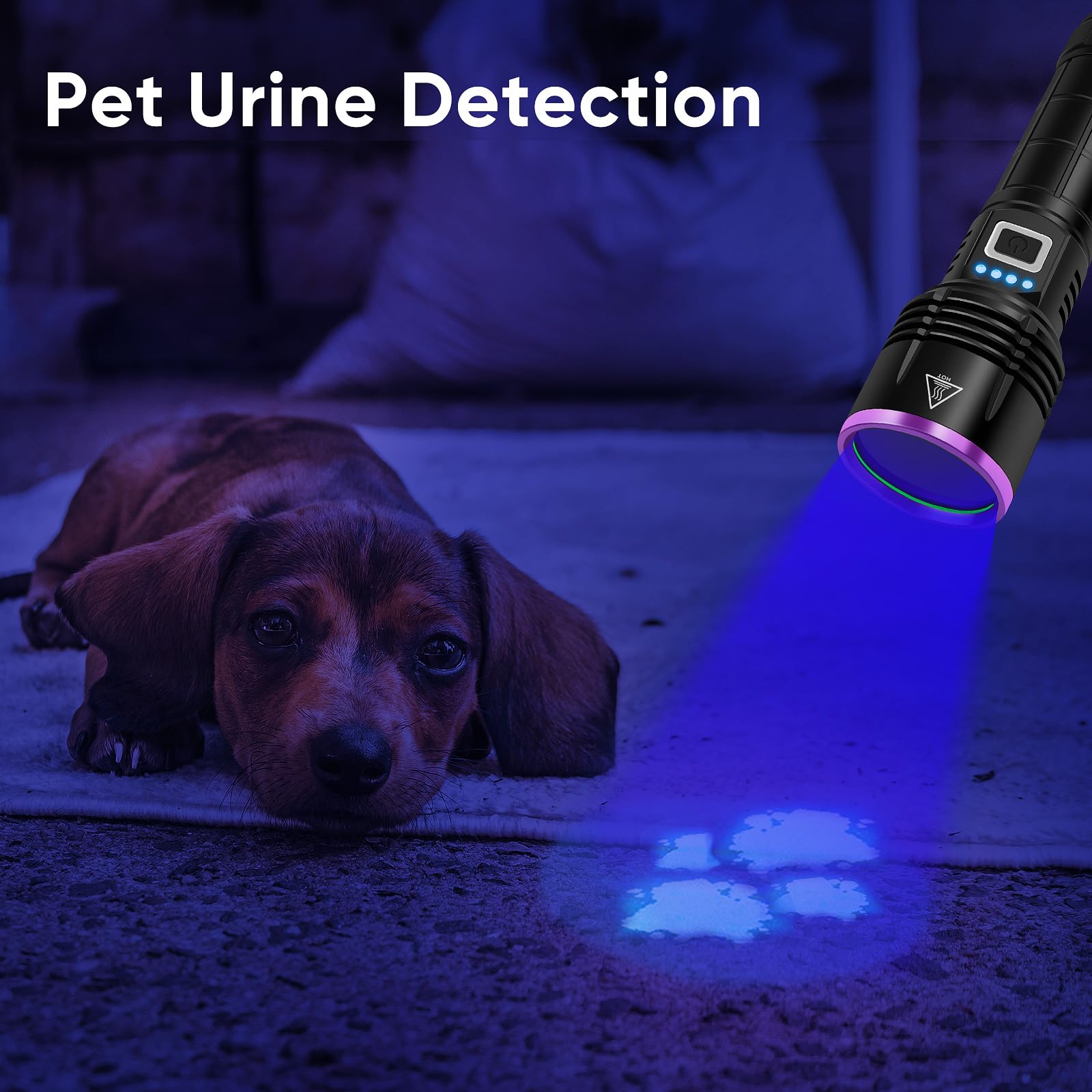 LUXNOVAQ detecta orina de mascotas con luz UV para limpieza higiénica