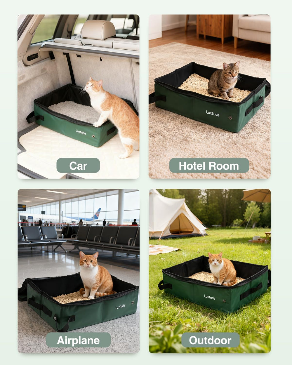 Regalo práctico Luxtude para amantes de gatos en ocasiones especiales.