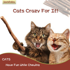 Gato jugando con palitos Luystoka matatabi, estimulación sensorial