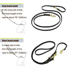 LWBMG Correa de cuero para perros medianos y grandes, cómoda y segura.