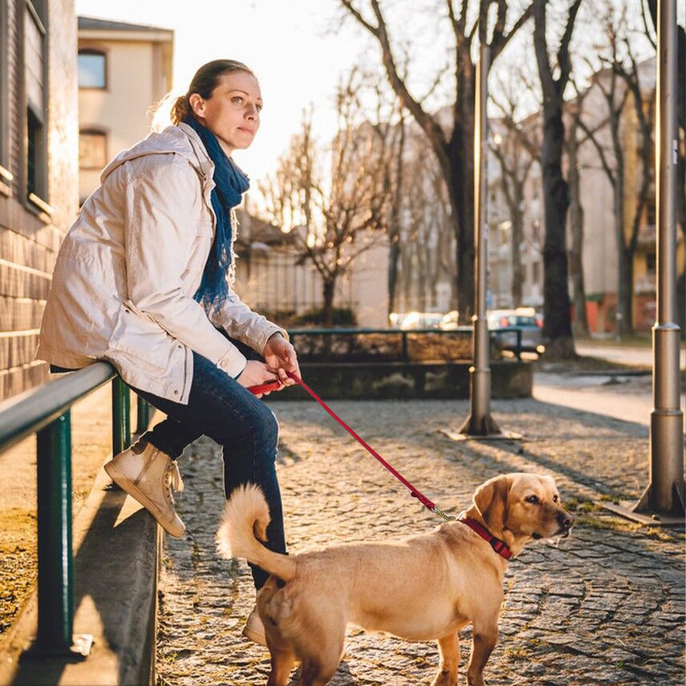 La correa LWBMG de uso multi-tamano apta para perros pequeños y grandes.