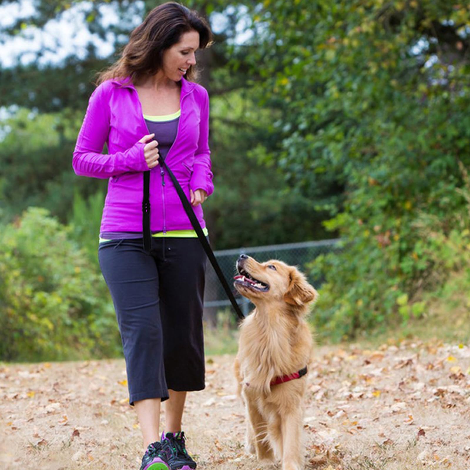 LWBMG ideal para perros medianos y grandes en entrenamiento al aire libre.