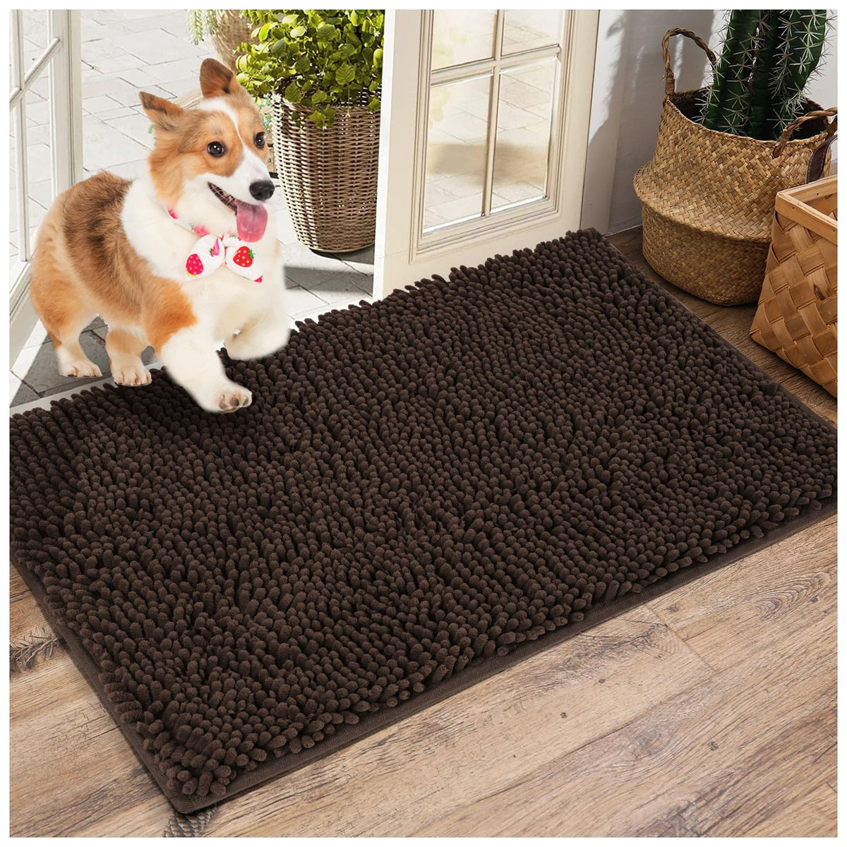 LWYYQB Alfombra chenille para perros: tacto suave y absorción rápida