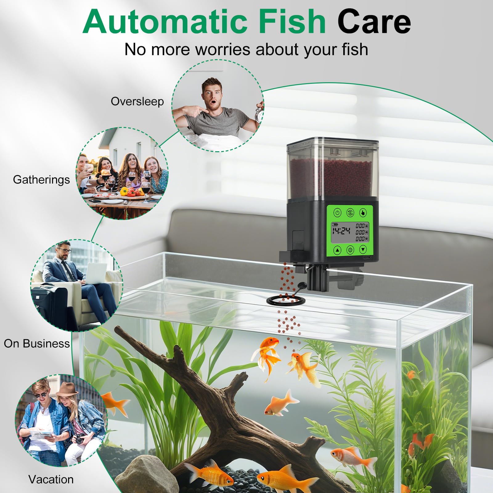 Lychee alimentador automático, ideal para viajes y estancias de negocios sin supervisión diaria.