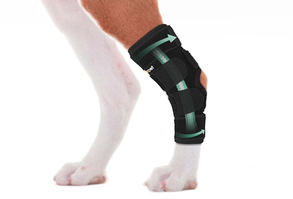 Lyderpet ferula para pata trasera con tobillo, soporte estable para caminar.
