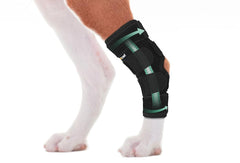Lyderpet ferula para pata trasera con tobillo, soporte estable para caminar.