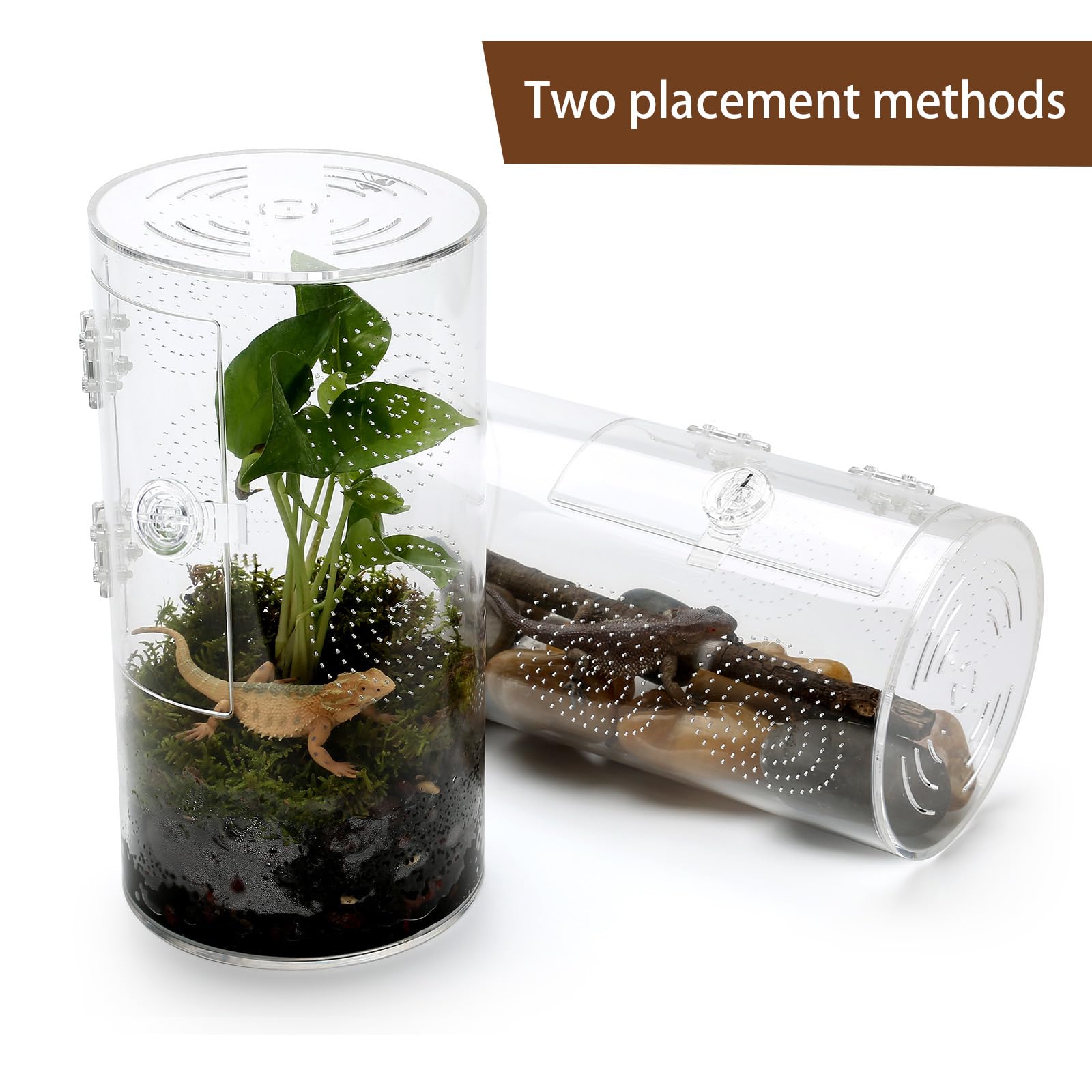 Dimensiones 11,5 x 6 x 6 pulgadas para pequeños invertebrados.