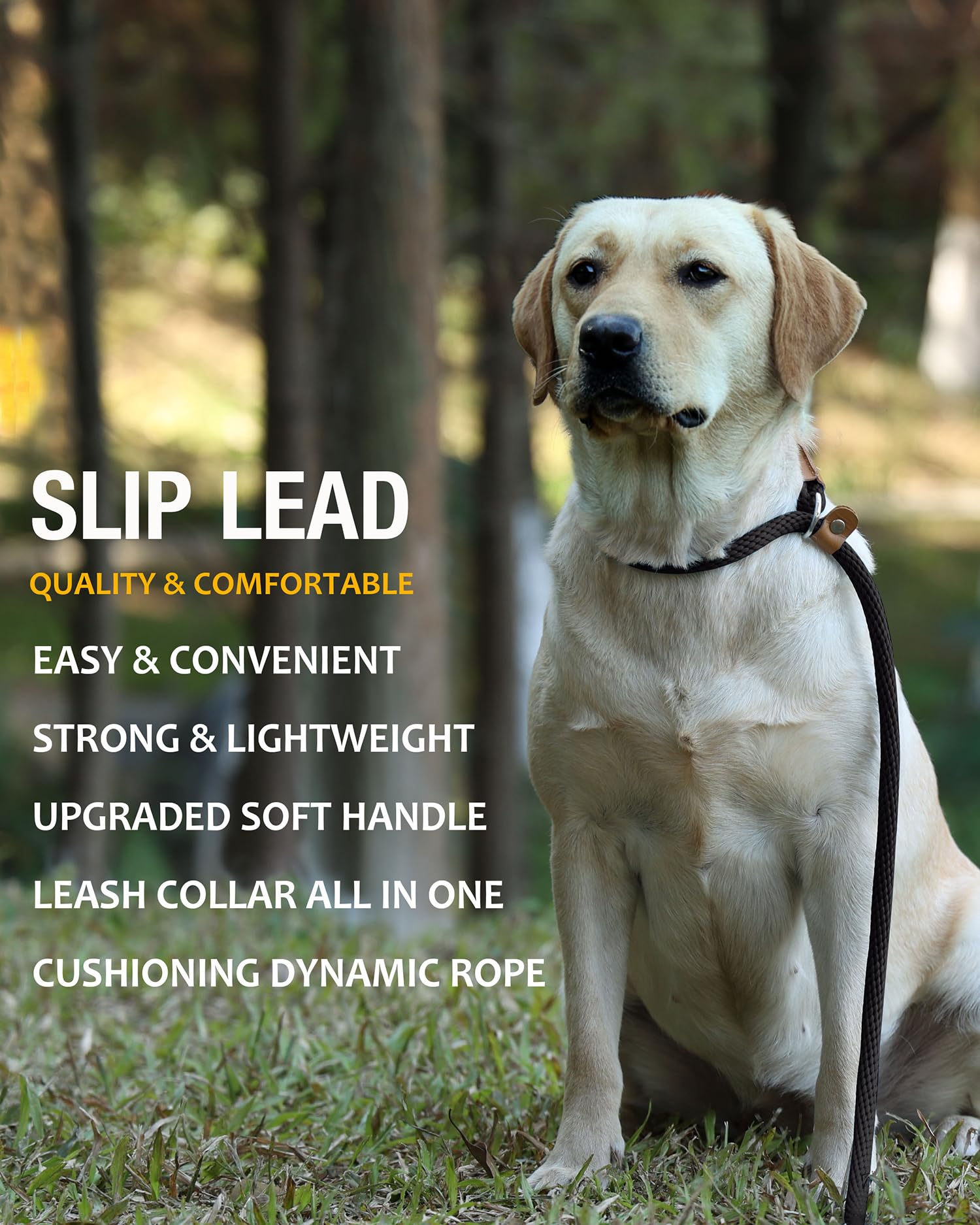 Lynxking correa slip para entrenamiento de perro, enfoque cercano y control.