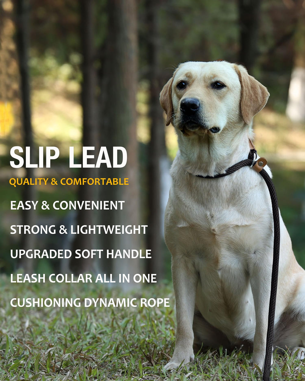 Lynxking correa slip para entrenamiento de perro, enfoque cercano y control.