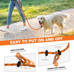 Lynxking correa para entrenamiento canino con control suave.