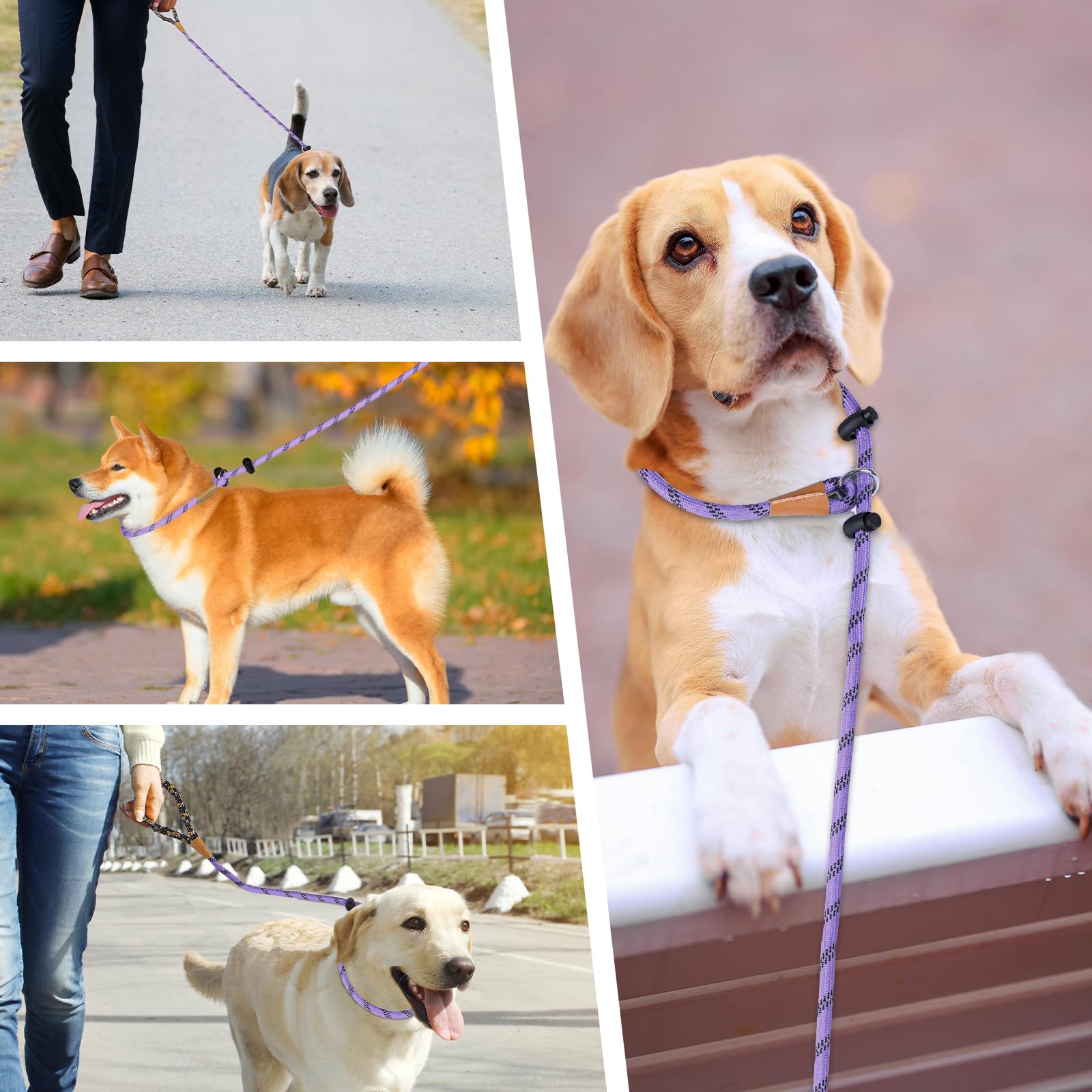 Uso versátil: entrenamiento y paseos diarios con Lynxking Slip Lead.