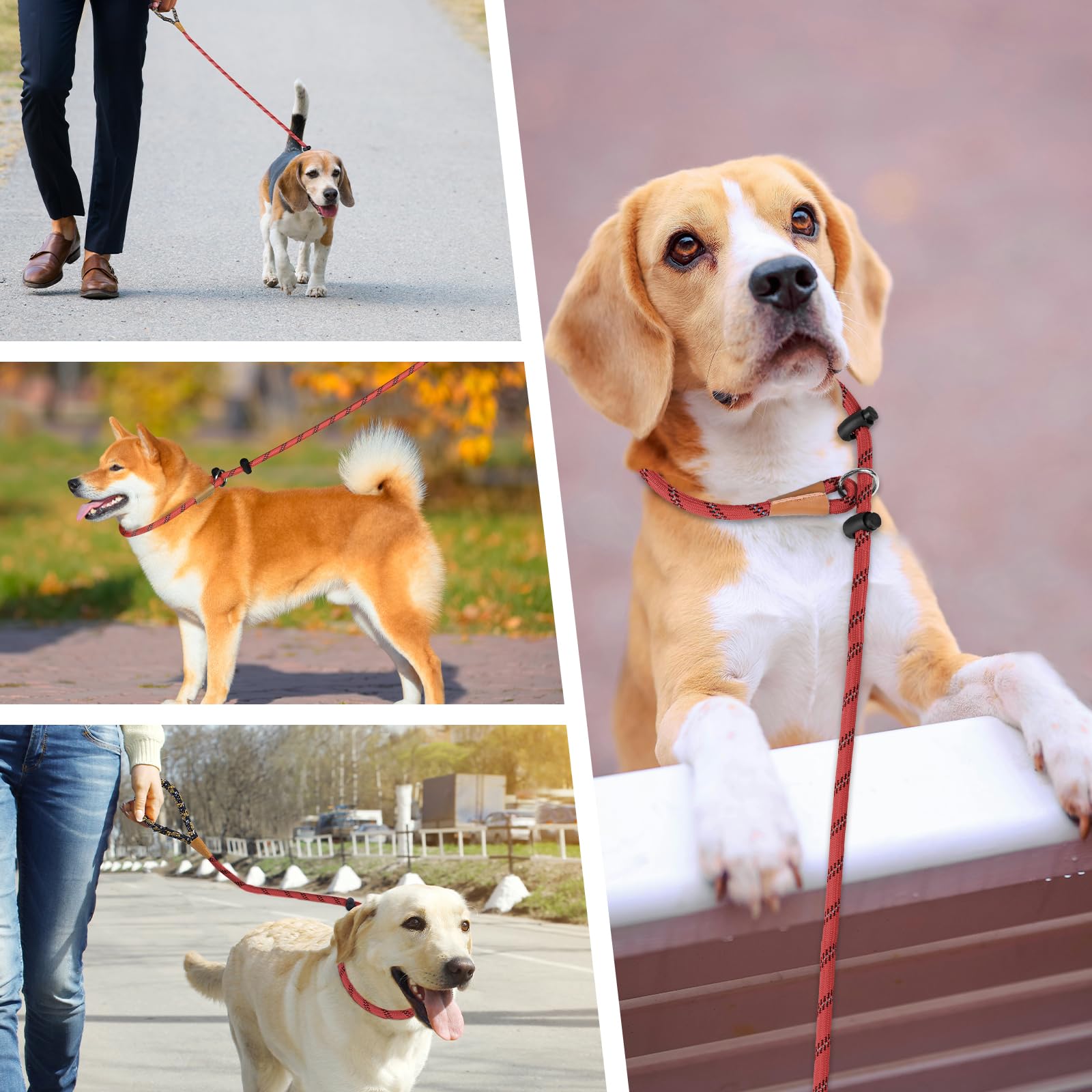 Variedad de tamaños para perros grandes, medianos y pequeños.