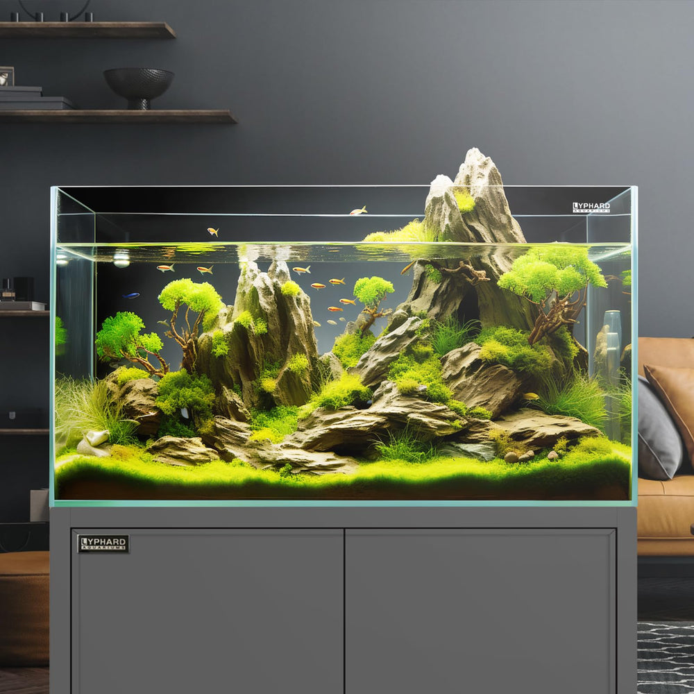 LYPHARD AQUARIUMS acuario con dimensiones 20x20x30 cm para espacios pequeños