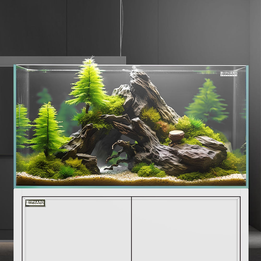 Acuario LYPHARD AQUARIUMS de 9,5 galones preparado para montaje.