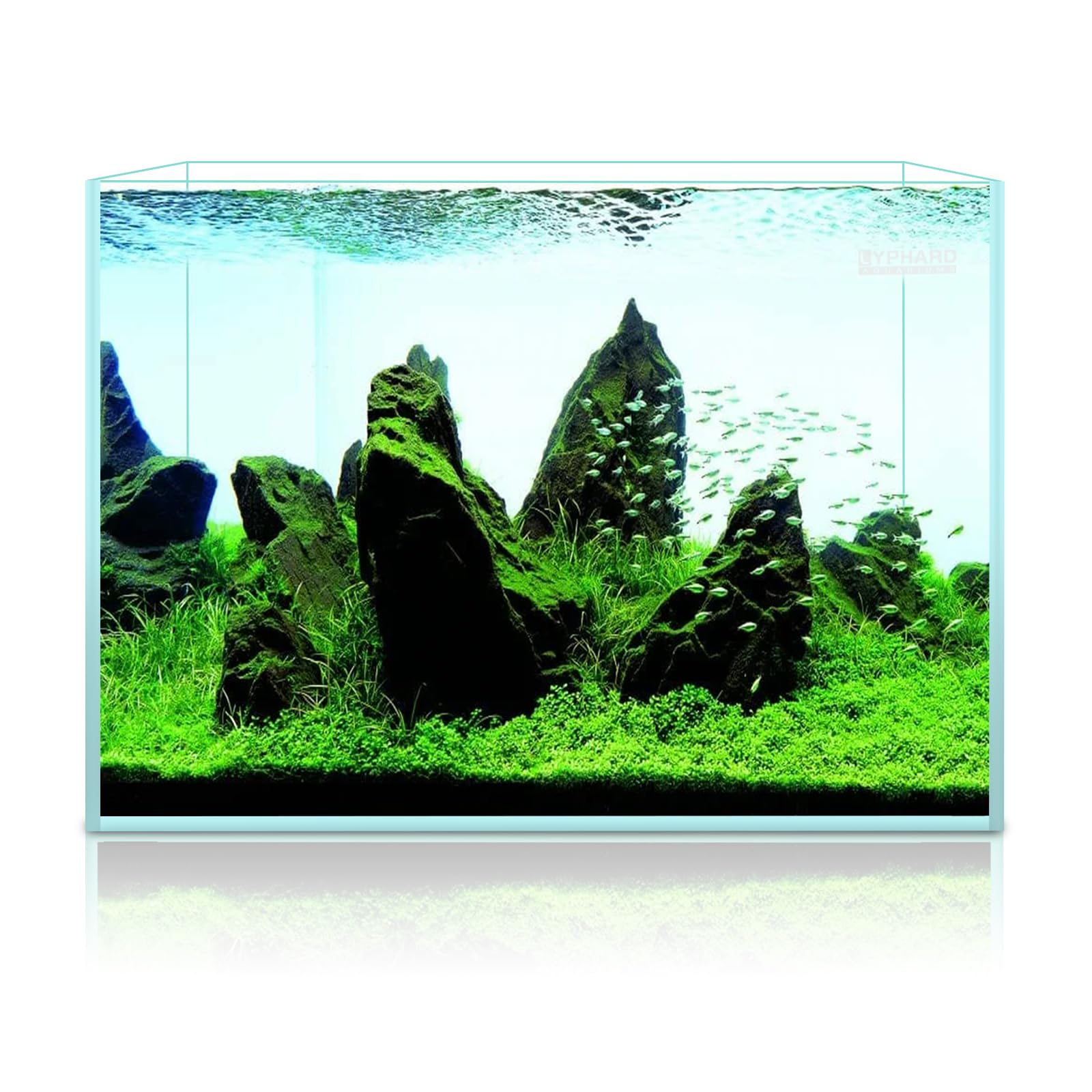 Acuario LYPHARD AQUARIUMS embalaje profesional garantiza entrega segura y lista para montar.