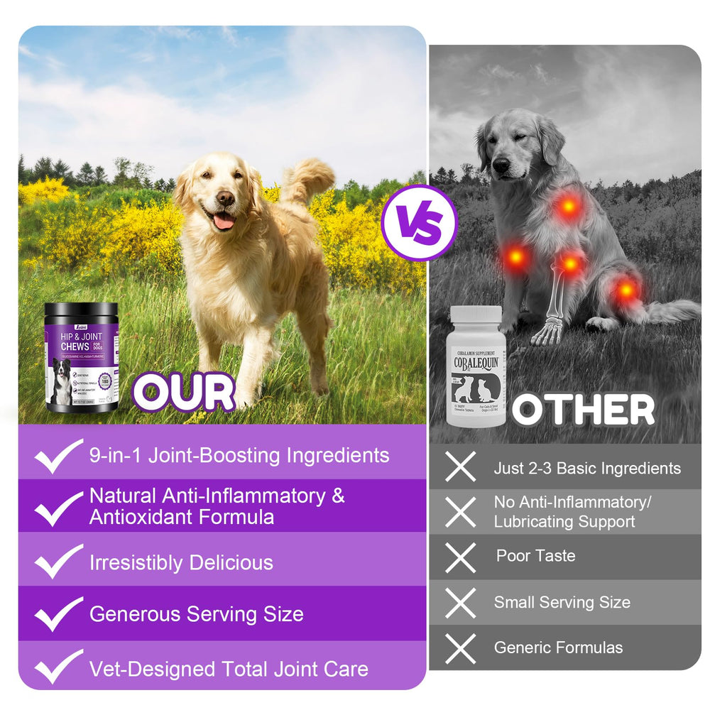 Glucosamina y condroitina de Lysimi para articulaciones de perros