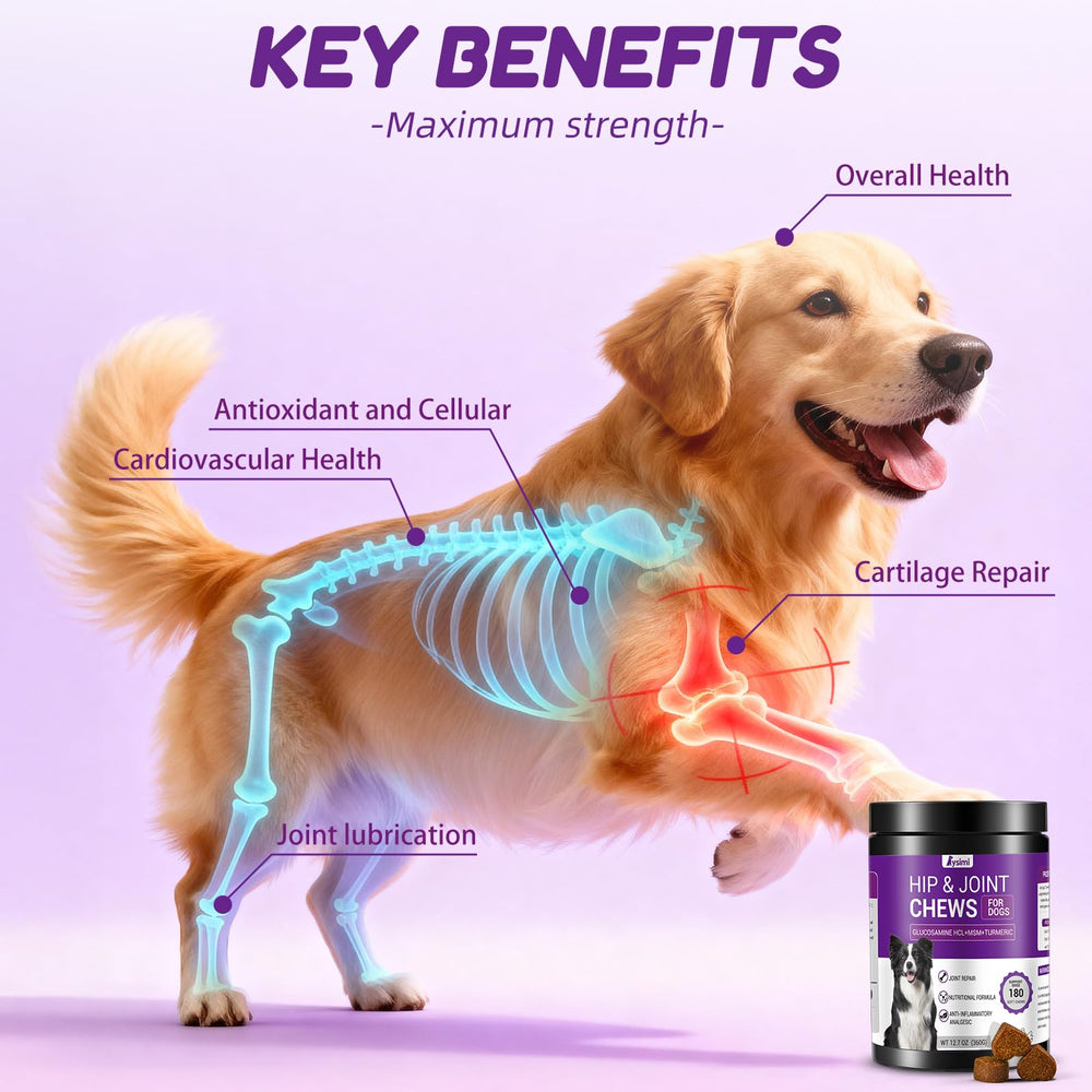 Ingredientes clave de Lysimi: MSM, curcumina y omega-3 para articulaciones