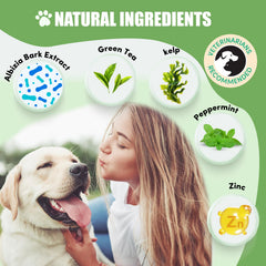 Lysimi Polvo Dental para Perros, mezcla fácil en la comida diaria