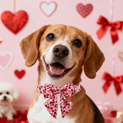 Lazo marinero en collar Maca Bates, ideal para sesiones de fotos.
