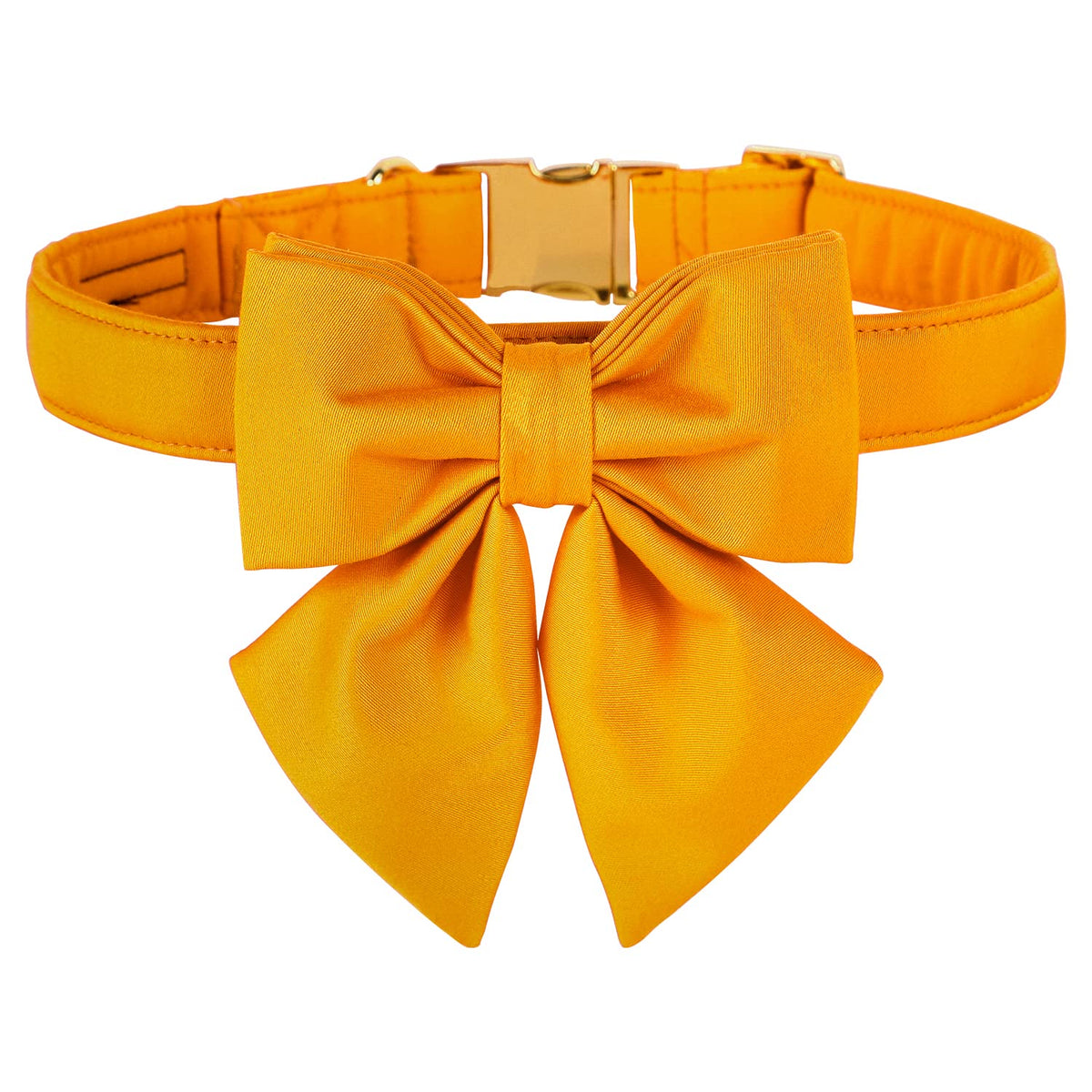 Collar para perro M MACA BATES mango amarillo, cómodo para paseos diarios.