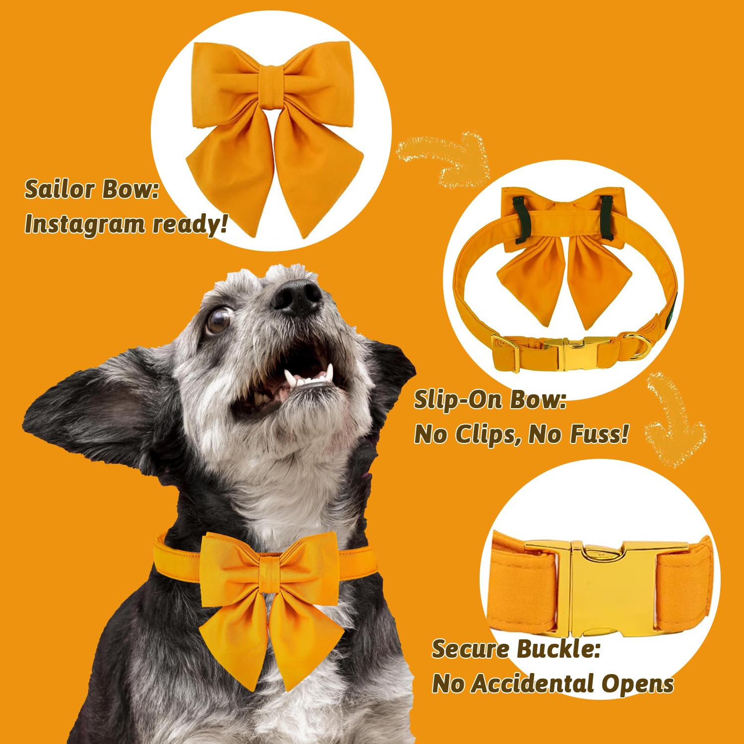 Collar para perros M MACA BATES enfocado para sesiones de fotos.