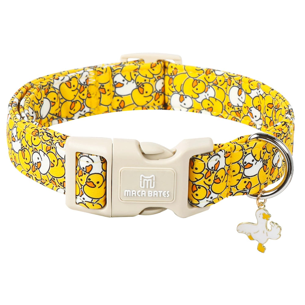 Collar M MACA BATES con pato amarillo, vista frontal, ideal para paseos diarios.