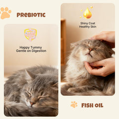M-PETS Creamy Lickable Treats con alto contenido de humedad para hidratación.