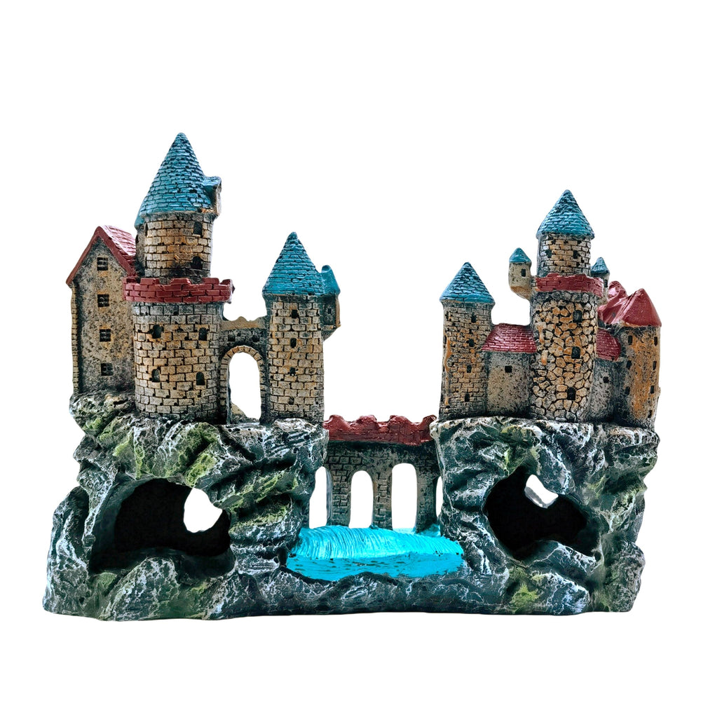 M2cbridge dimensiones 23x18x9 cm, referencia de tamaño para acuario.