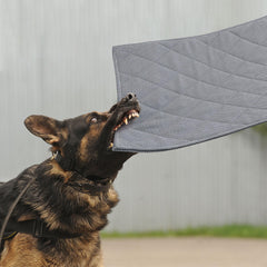 MABOZOO cama indestructible para perros, ideal para mordedores activos.