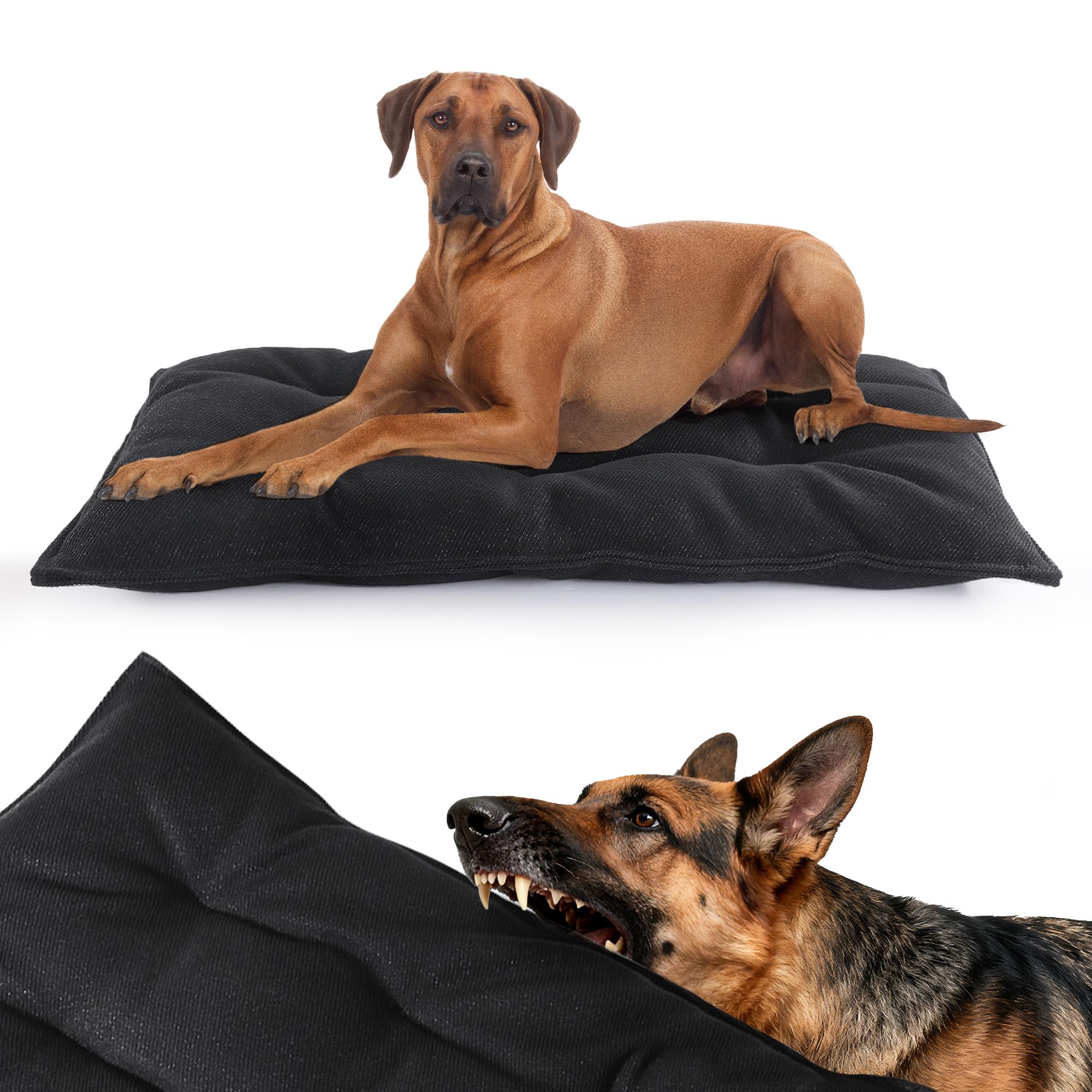 Cama Mabozoo indestructible a prueba de mordidas para perros activos