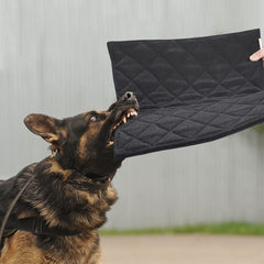 Cama-perro-indestructible de MABOZOO, ideal para masticadores fuertes.